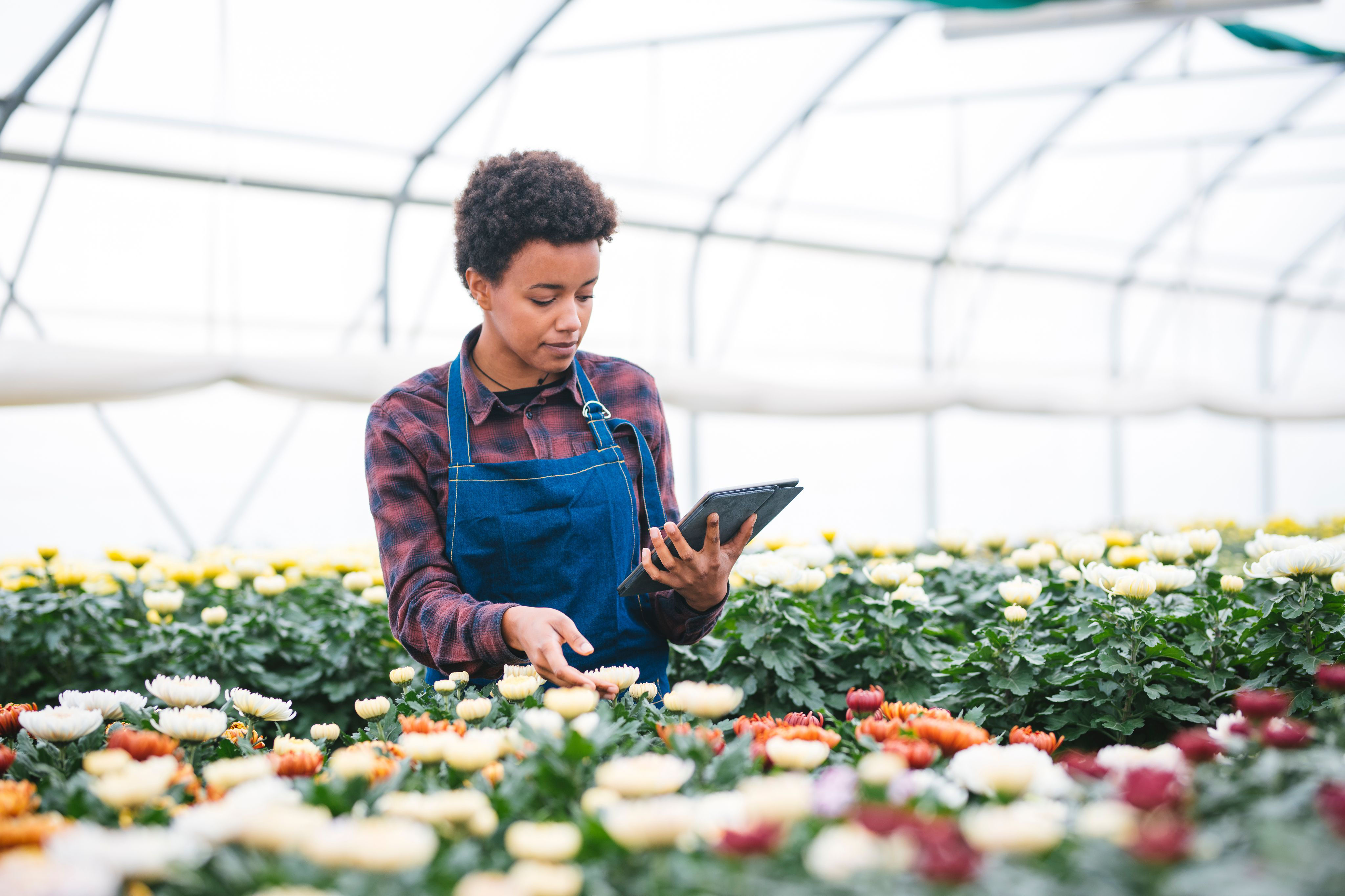 Woman checking tablet in greenhouse